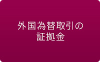 外国為替取引の証拠金